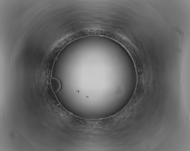 X0000115800870200911131357
