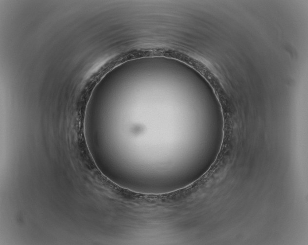 X0000115800871200911131357