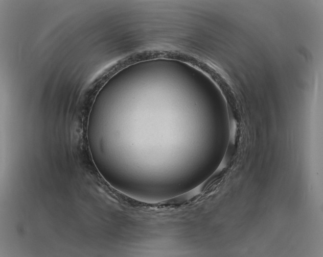 X0000115800872200911131357