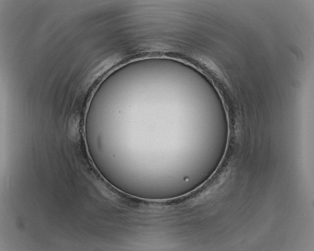 X0000115800873200911131357