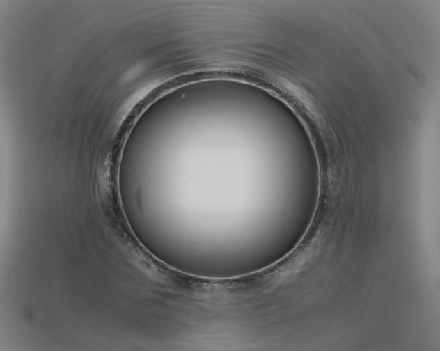 X0000115800875200911131357
