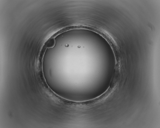 X0000115800876200911131357