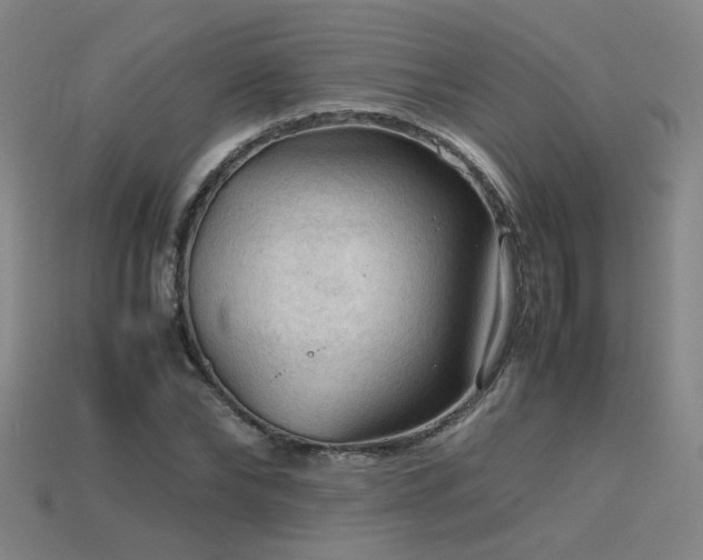 X0000115800878200911131357