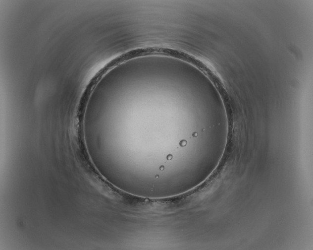 X0000115800879200911131357