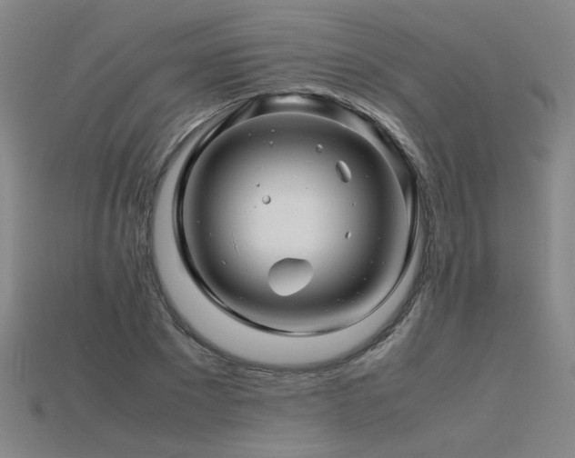 X0000115800881200911131357