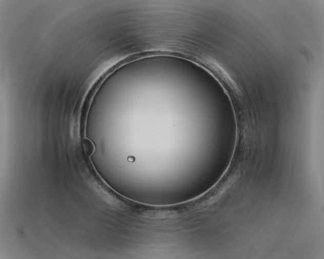 X0000115800884200911131357