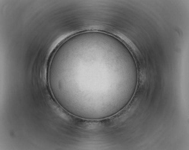 X0000115800886200911131357