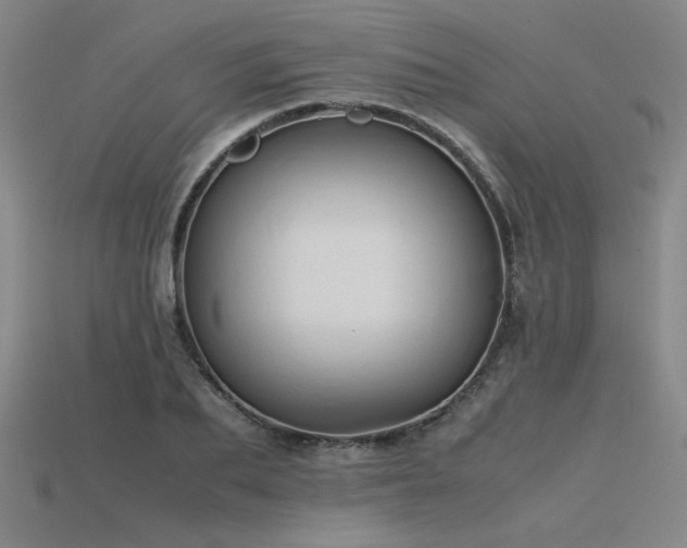 X0000115800887200911131357