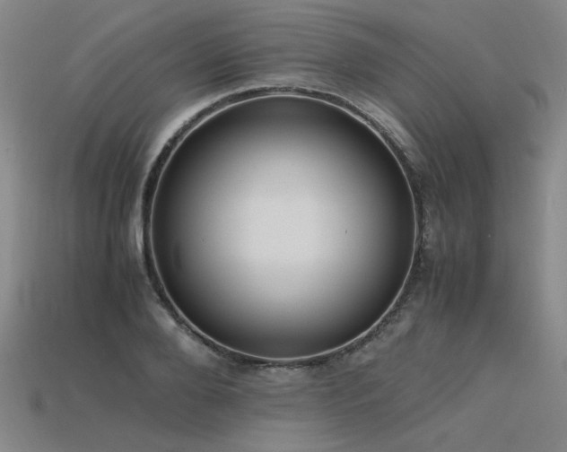 X0000115800888200911131357