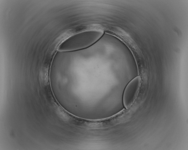 X0000115800889200911131357