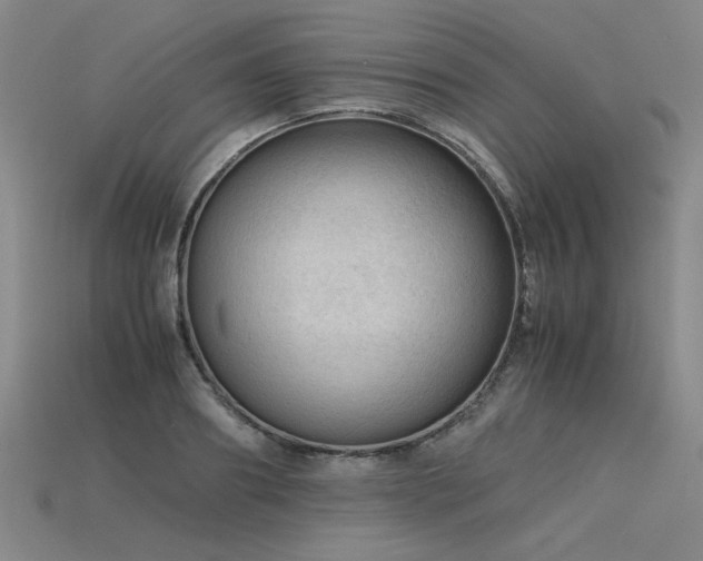 X0000115800890200911131357