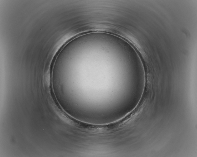X0000115800891200911131357