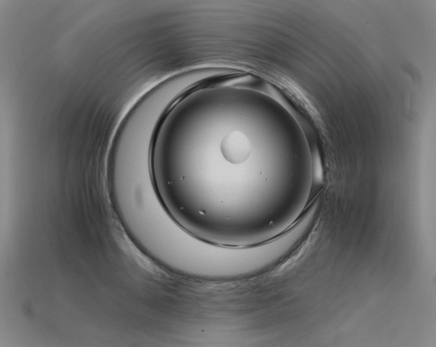 X0000115800892200911131357