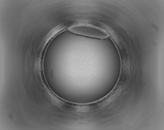 X0000115800893200911131357