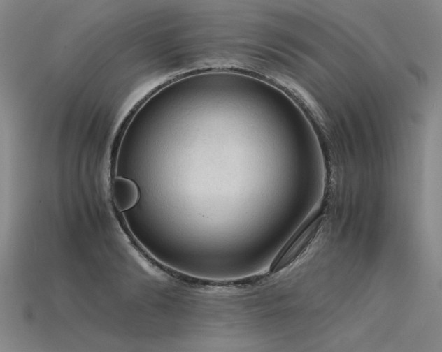 X0000115800894200911131357