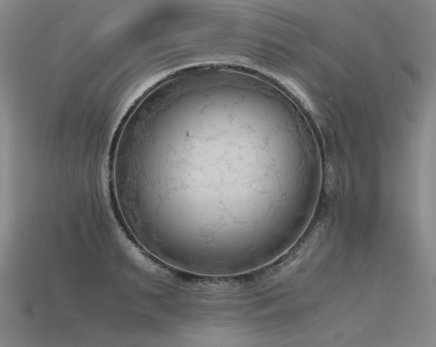 X0000115800895200911131357
