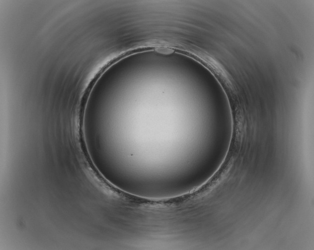 X0000115800896200911131357