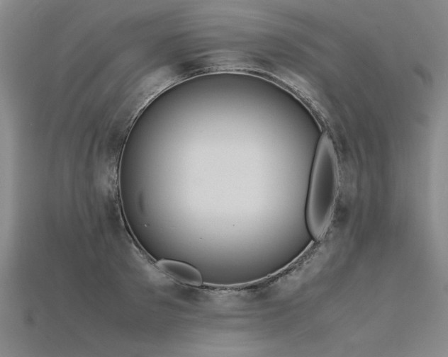 X0000115800897200911131357