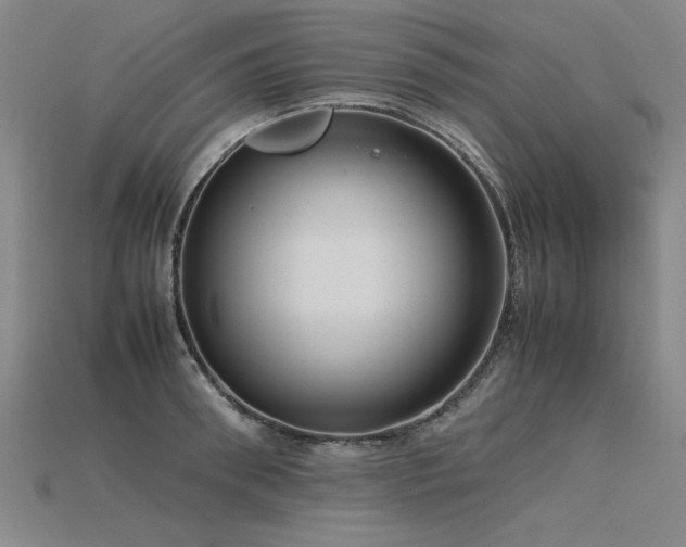 X0000115800898200911131357