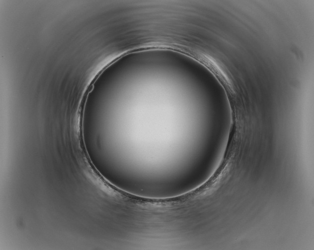 X0000115800900200911131357