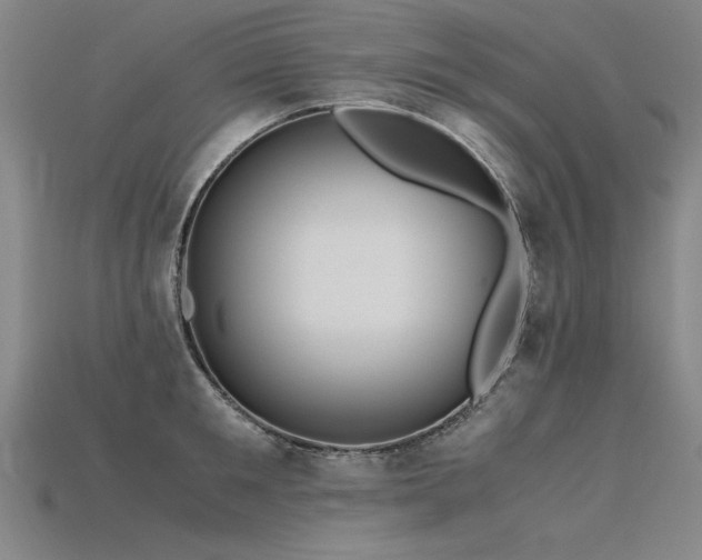 X0000115800901200911131357