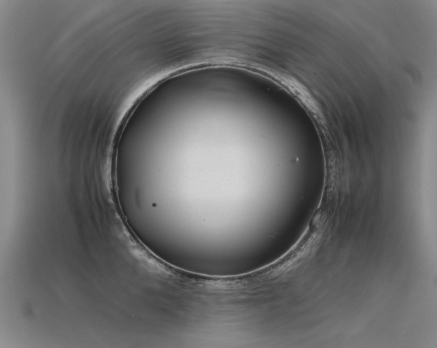 X0000115800904200911131357