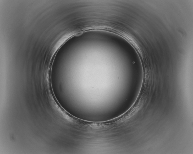 X0000115800906200911131357
