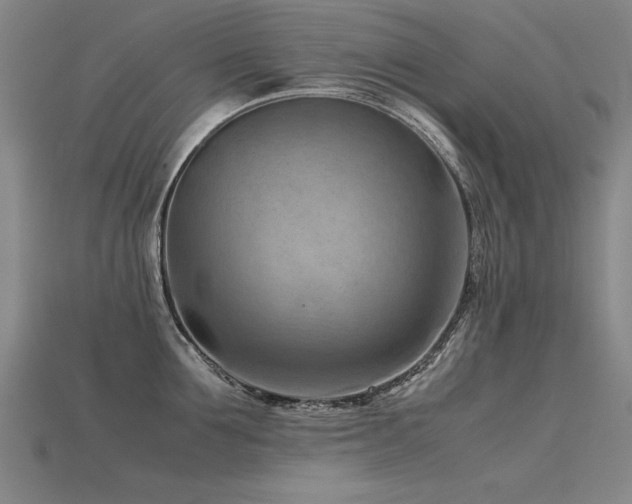 X0000115800907200911131357