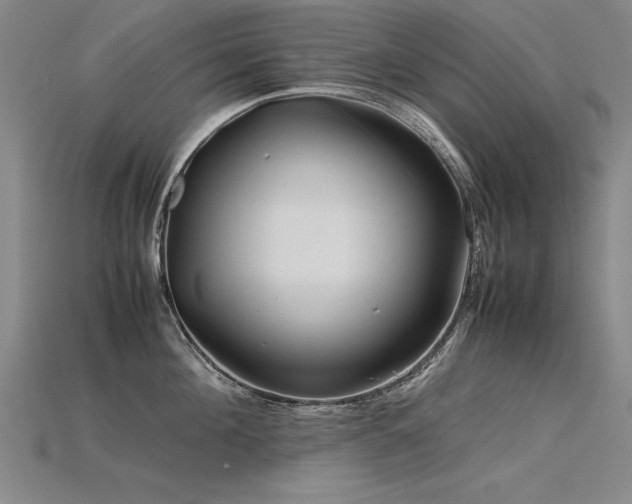 X0000115800908200911131357