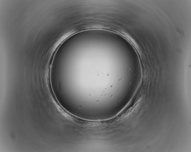 X0000115800909200911131357