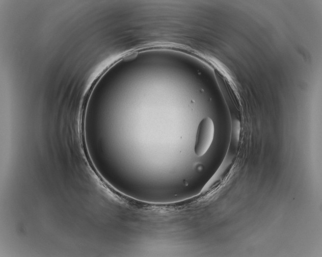 X0000115800910200911131356