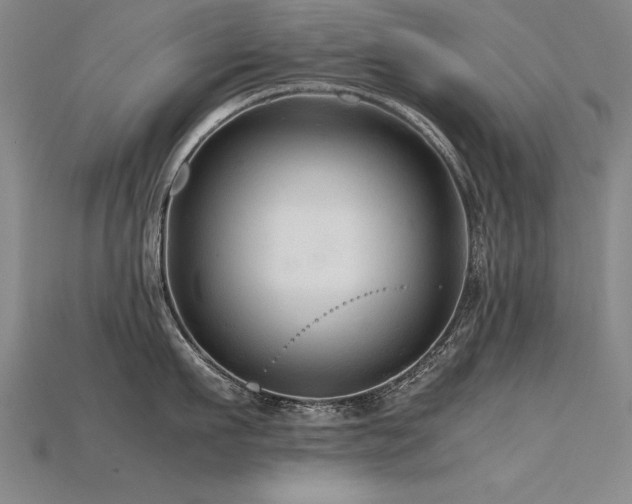 X0000115800911200911131356