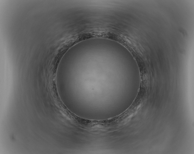X0000115800913200911131356