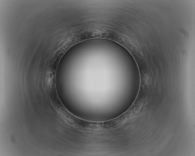 X0000115800914200911131356