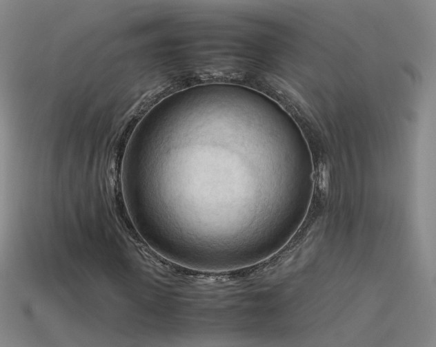 X0000115800915200911131356