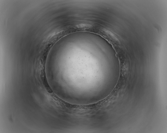 X0000115800917200911131356