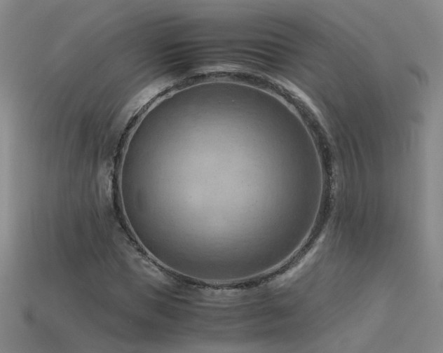 X0000115800921200911131356