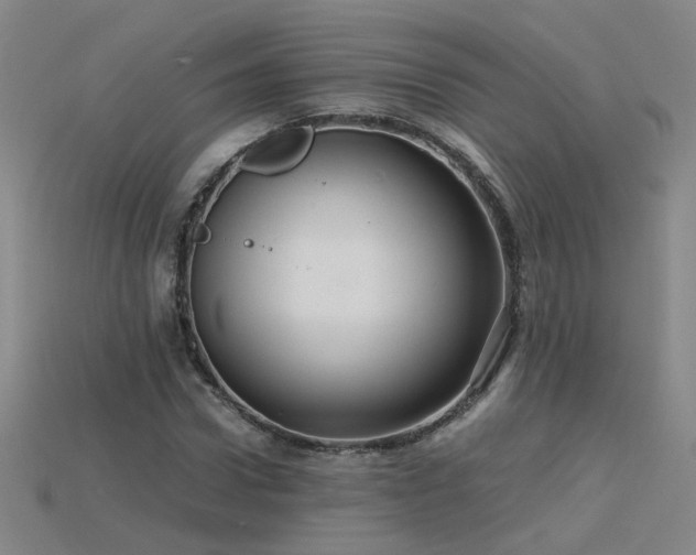 X0000115800922200911131356