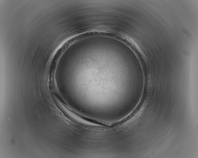 X0000115800923200911131356