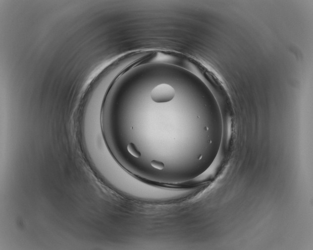 X0000115800925200911131356