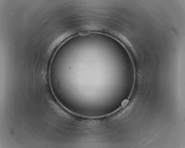 X0000115800930200911131356