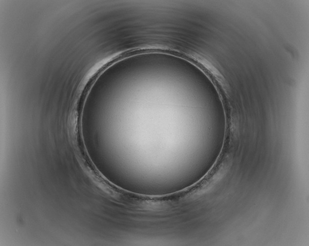 X0000115800933200911131356