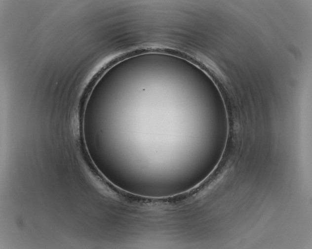 X0000115800934200911131356