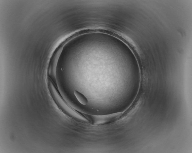 X0000115800935200911131356