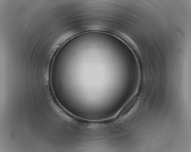 X0000115800938200911131356