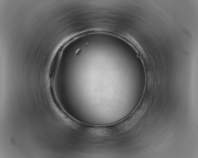 X0000115800939200911131356