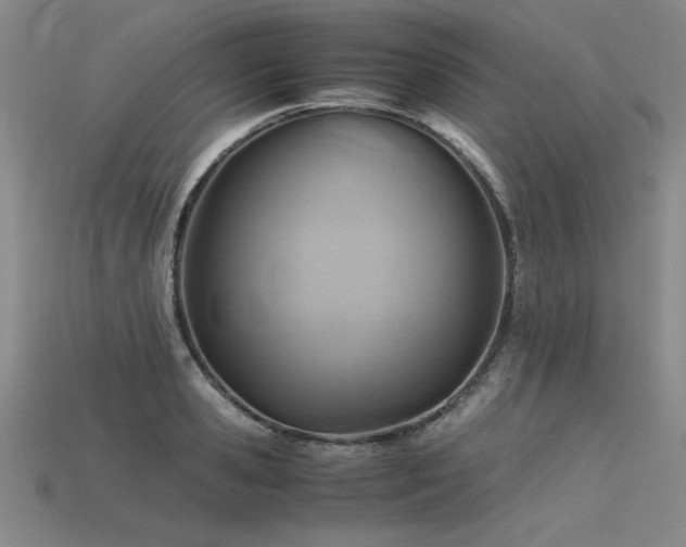 X0000115800941200911131356