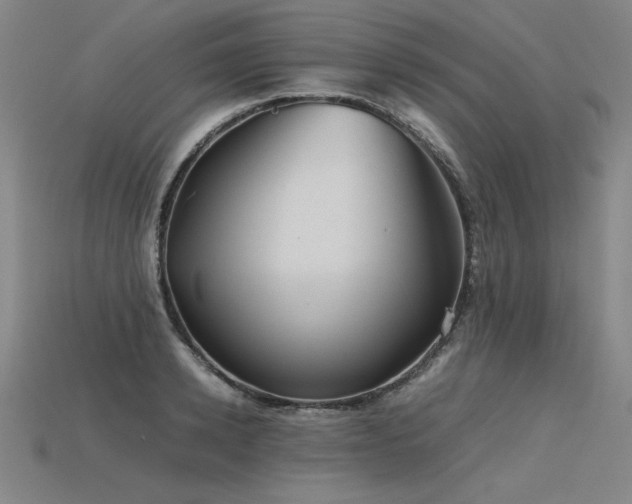 X0000115800942200911131356