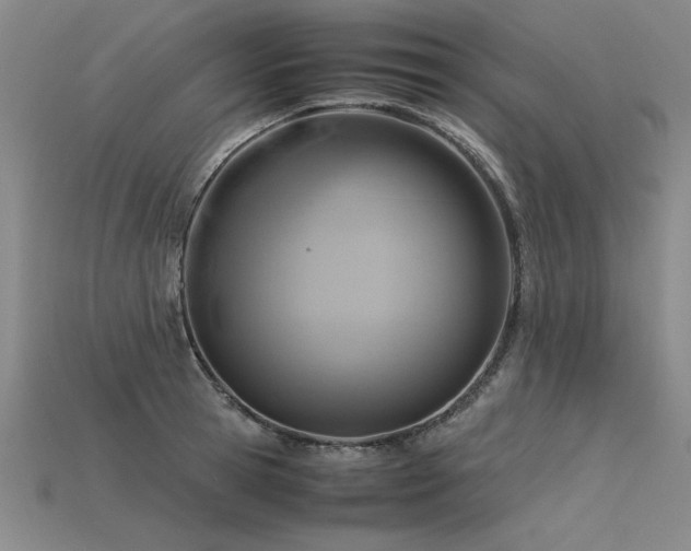 X0000115800945200911131356