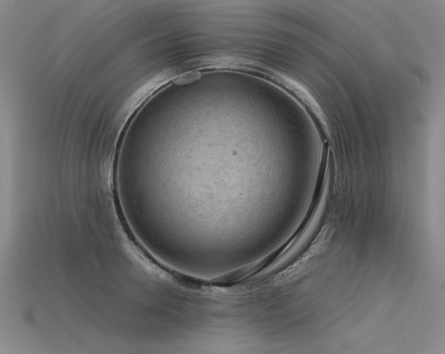 X0000115800946200911131356